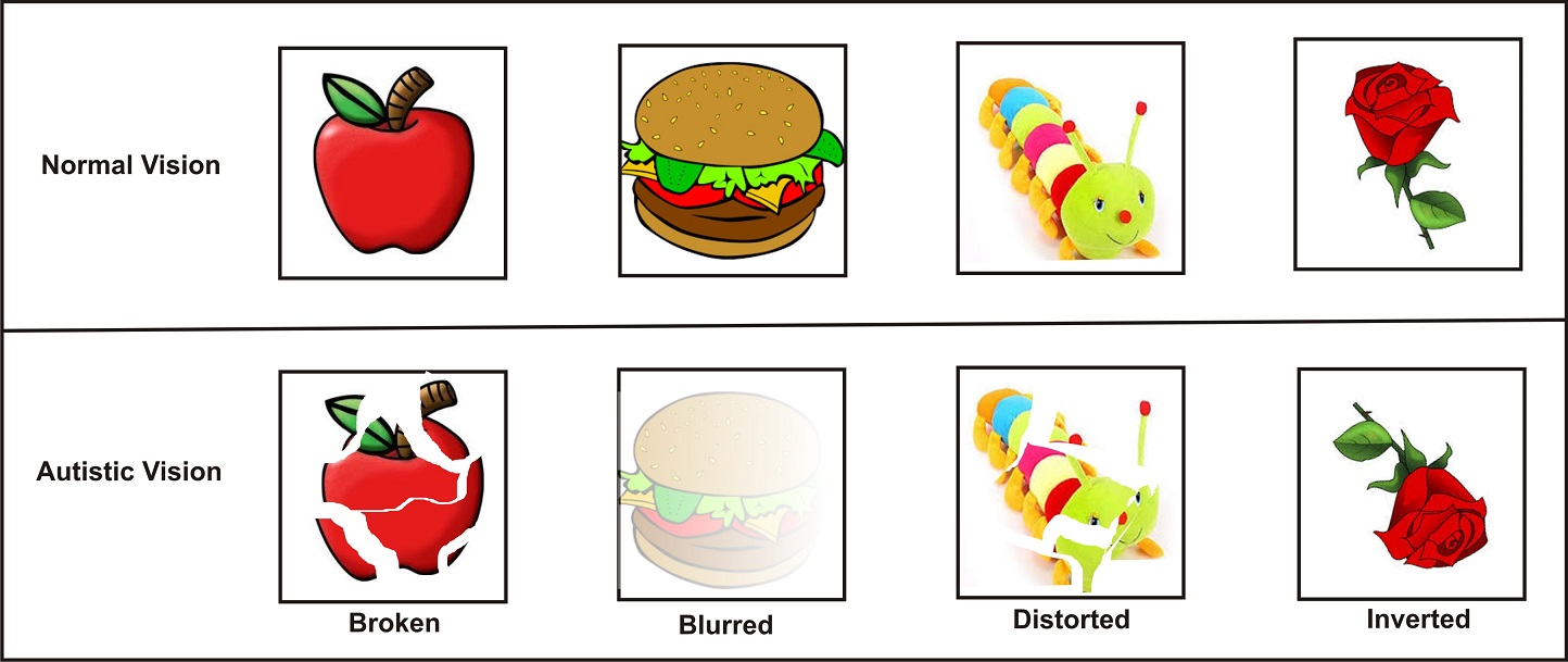 Visual Processing Disorder and Autism blog post